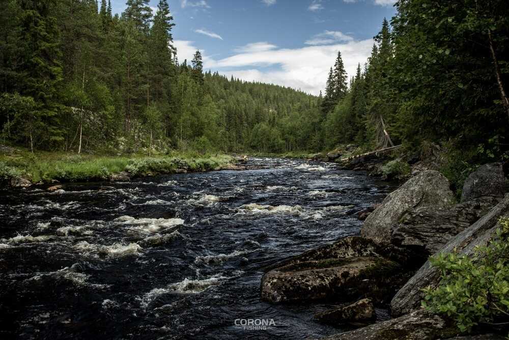 wędkarstwo skandynawia